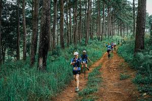 BIB: 
                            <button type="button" onclick="openModal(25659735)" class="btn btn-primary btn-sm float-right btn-popup" data-toggle="modal" data-target=".modal-high-quality">
                        <i class="fas fa-shopping-cart"></i> Add to Cart
                    </button>
                                            <button type="button" onclick="isThisMe(25659735, true)" class="btn btn-success btn-sm float-right btn-popup btn-isme hidden" data-toggle="tooltip" data-placement="bottom" title="นี่คือรูปของคุณใช่ไหม คลิกที่นี่เพื่อเอาเข้าอัลบั้ม">
                        <i class="fas fa-plus"></i> Add to album
                    </button>
                    <button type="button" onclick="isThisMe(25659735, false)" class="btn btn-warning btn-sm float-right btn-popup btn-isnotme hidden">
                        <i class="fas fa-ban"></i> Remove from album
                    </button>